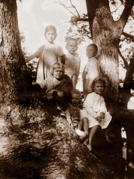 Fuchs kids in a tree, 1912